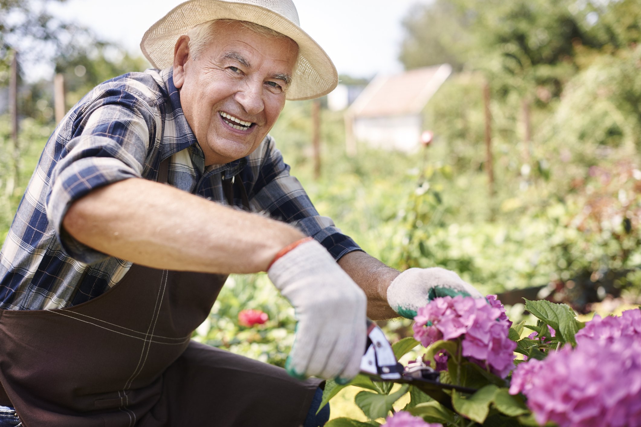 the-benefits-of-gardening-mercer-advisors-formerly-epstein-white